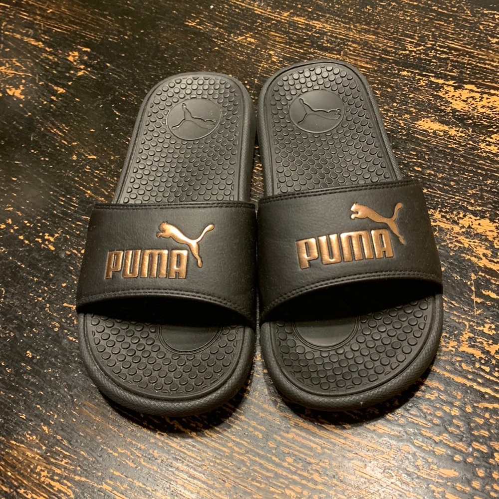 Puma slides